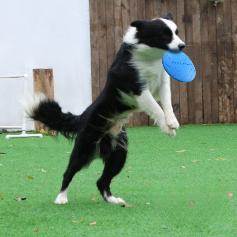 Frisbee Freestyle Disc - จานร่อนสำหรับสุนัข, จานร่อนสำหรับสัตว์เลี้ยงพันธุ์บอร์เดอร์, จานร่อนพิเศษสำหรับสุนัข, จานร่อนฝึกกัดทนทาน, จานร่อนแบบดึงกลับ, ของเล่นสุนัขมาตรฐาน,