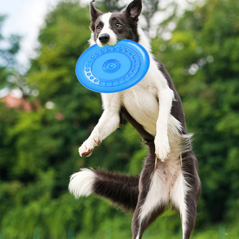 Frisbee Freestyle Disc - ของเล่นฝึกสัตว์เลี้ยงแบบทนทาน รับประทานได้ ทนต่อการฉีกขาด ทำจากยางนิ่ม จานบินสำหรับสุนัข ใช้สำหรับออกกำลังกาย