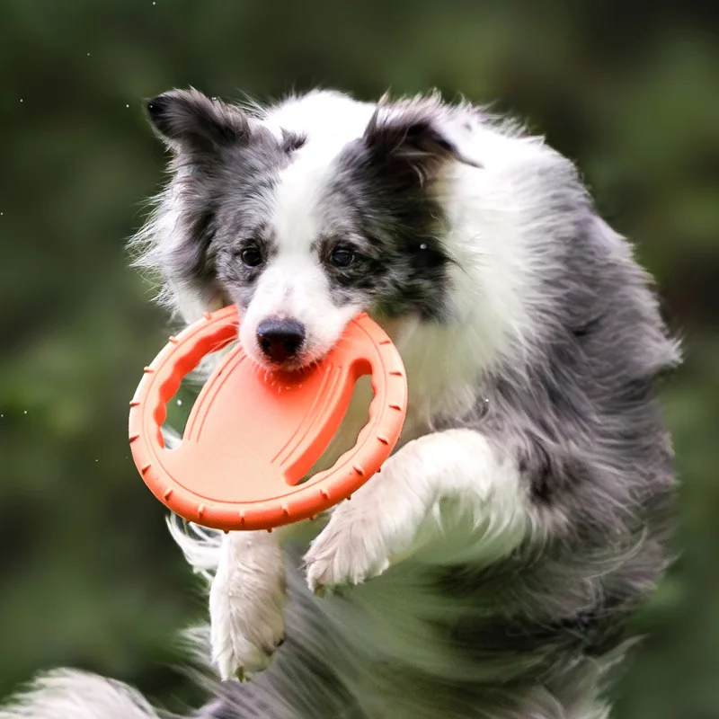 Frisbee Freestyle Disc - ของเล่นจานร่อนสำหรับสุนัข ทนทาน ใช้ฝึกสัตว์เลี้ยง เล่นโยนรับ ทนต่อการกัด เล่นกลางแจ้ง