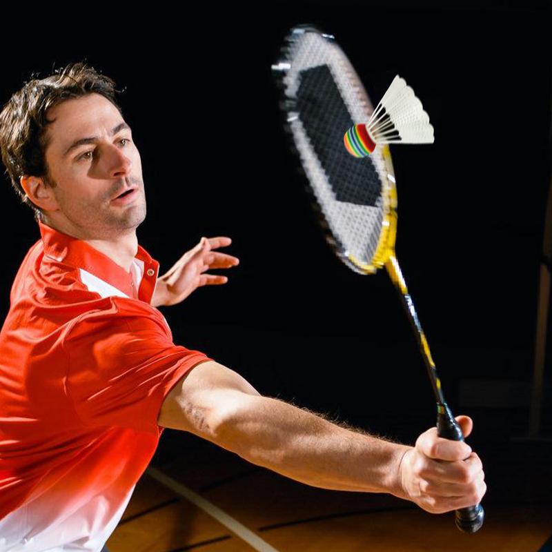 แบดมินตันแบดมินตันชุดไนลอนที่ม - Badminton Set Garden บทวิจารณ์และราคา