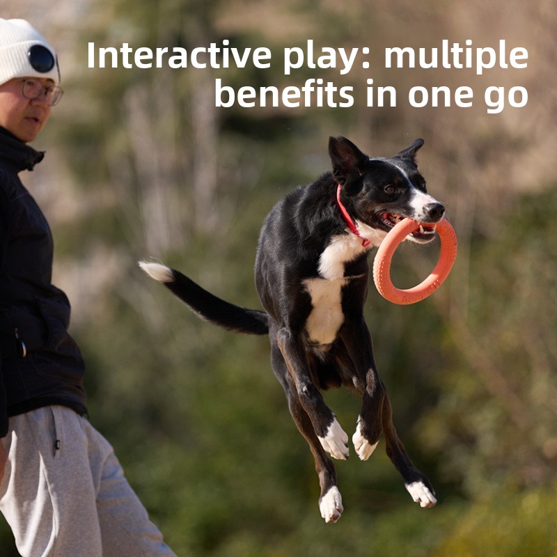 จานร่อนแบบนิ่มทนต่อการกัด พร้อ - Frisbee Freestyle Disc บทวิจารณ์และราคา