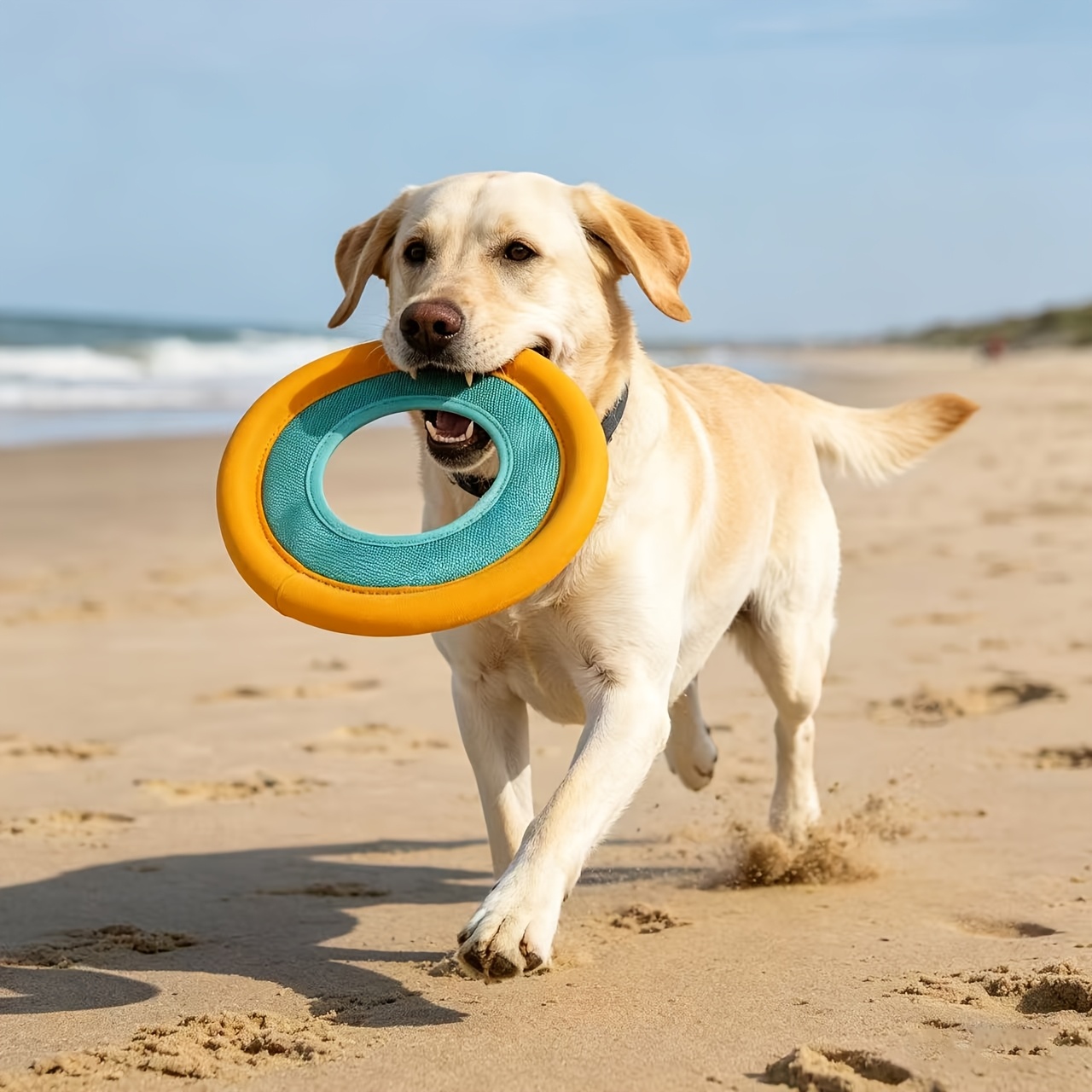 จานร่อนสุนัขแบบลอยน้ำ ของเล่นฝ - Frisbee Freestyle Disc บทวิจารณ์และราคา