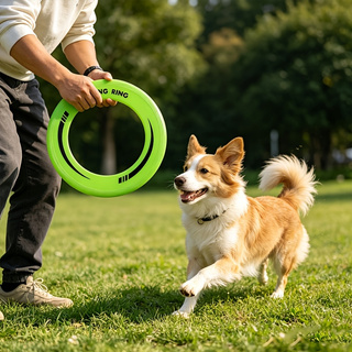 1PC จานร่อนแบบวงแหวนกลวงทนทาน  - Frisbee Freestyle Disc บทวิจารณ์และราคา
