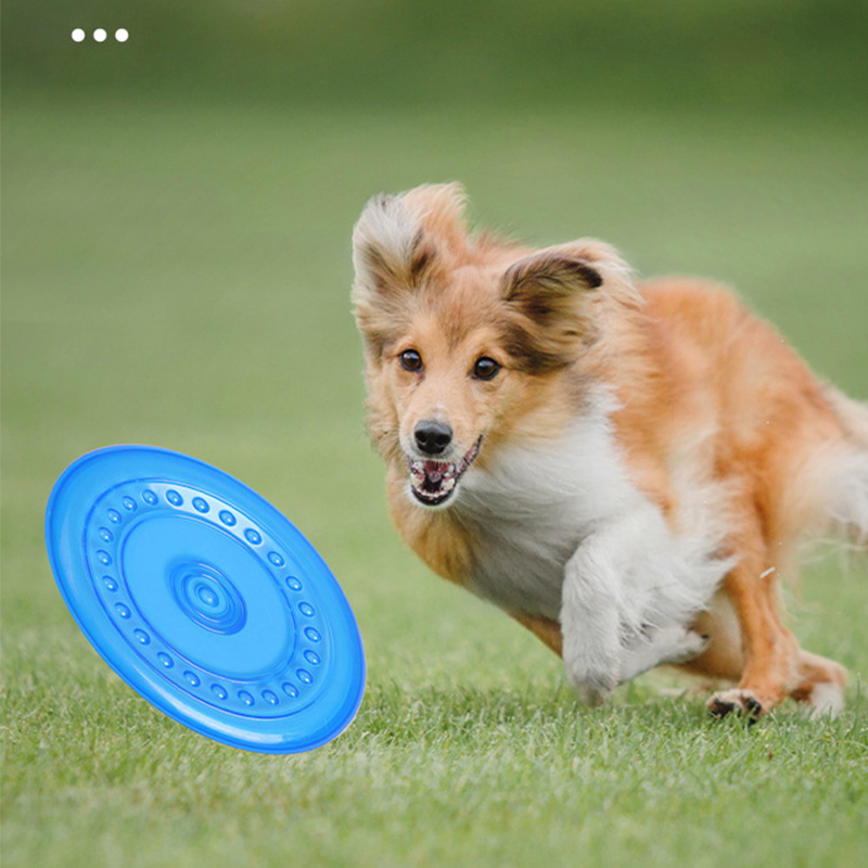 ของเล่นฝึกสัตว์เลี้ยงแบบทนทาน  - Frisbee Freestyle Disc บทวิจารณ์และราคา